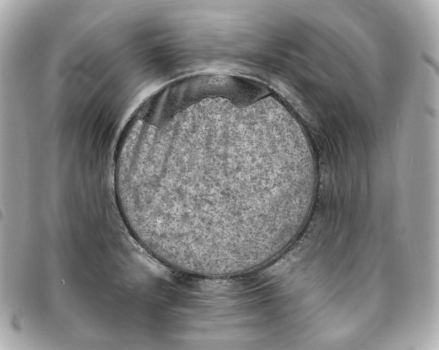 X0000095891232200802011100