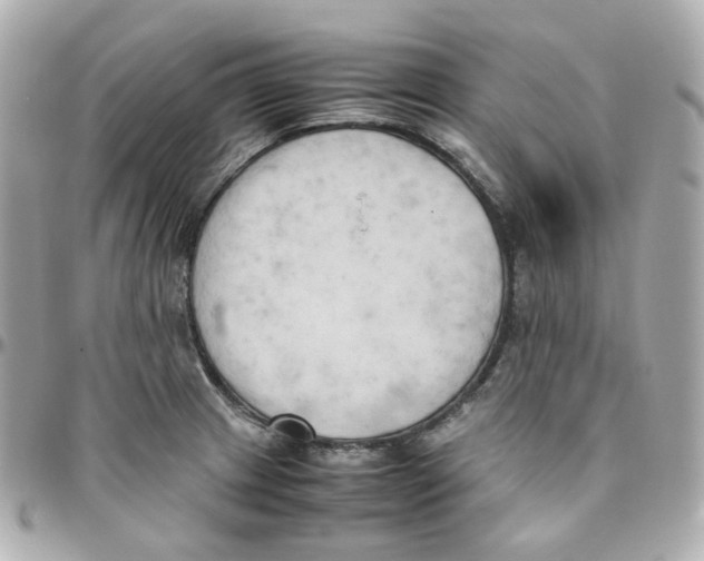 X0000095891233200802011100