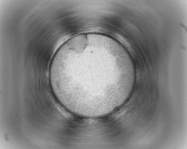 X0000095891234200802011100