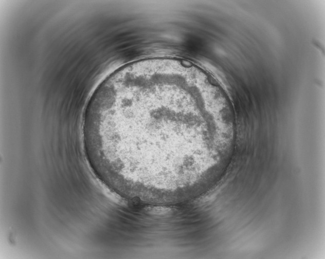 X0000095891235200802011100