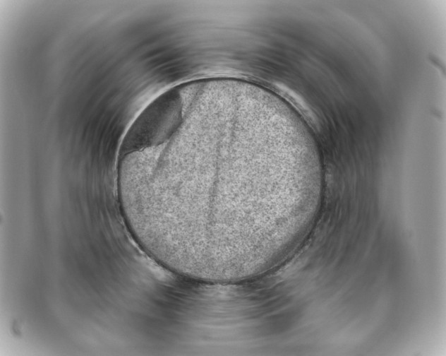 X0000095891236200802011100