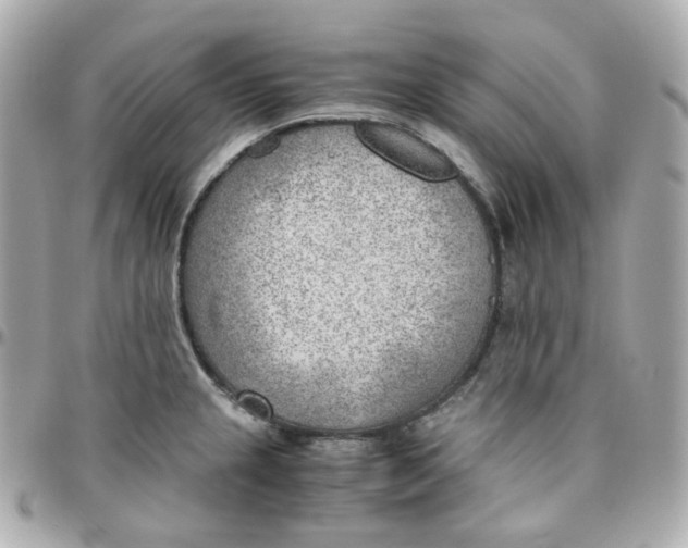 X0000095891237200802011100