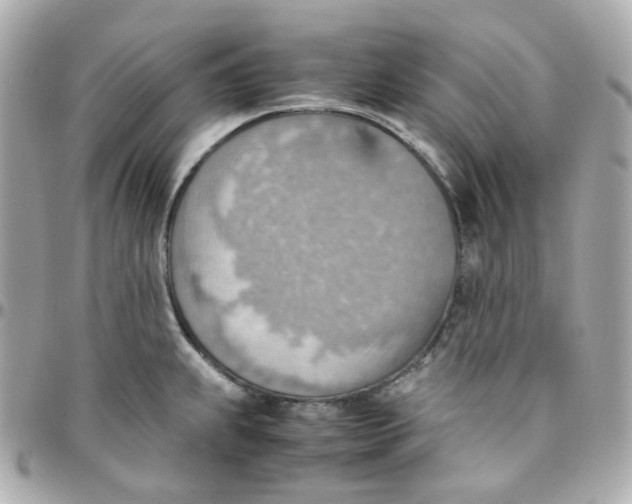 X0000095891239200802011100