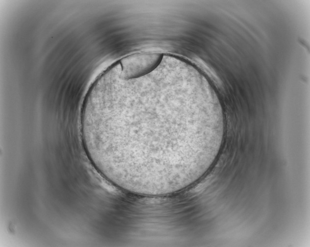 X0000095891240200802011100