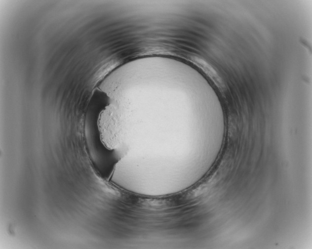 X0000095891241200802011100