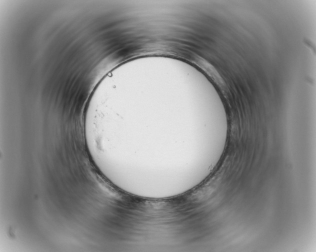 X0000095891242200802011100