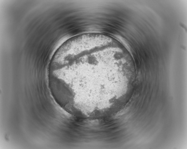 X0000095891243200802011100