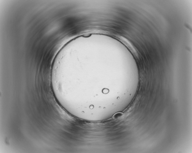 X0000095891244200802011100