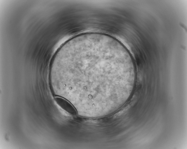 X0000095891245200802011100