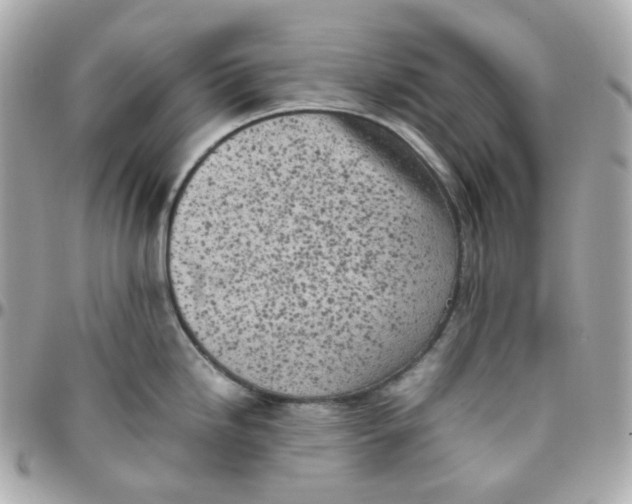 X0000095891246200802011100