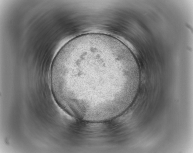 X0000095891247200802011100