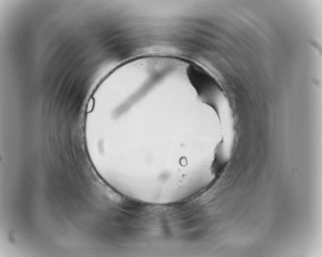 X0000095891248200802011100