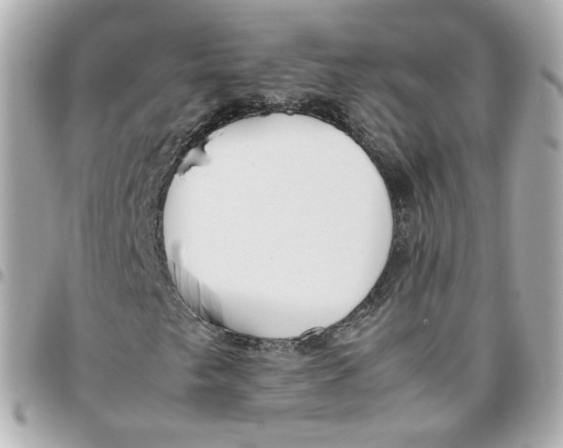 X0000095891249200802011059