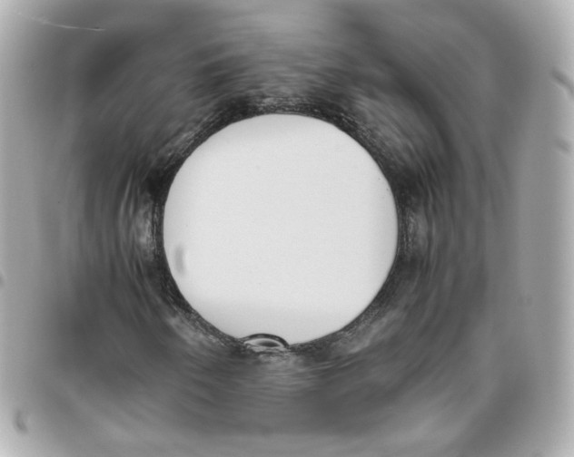 X0000095891250200802011059