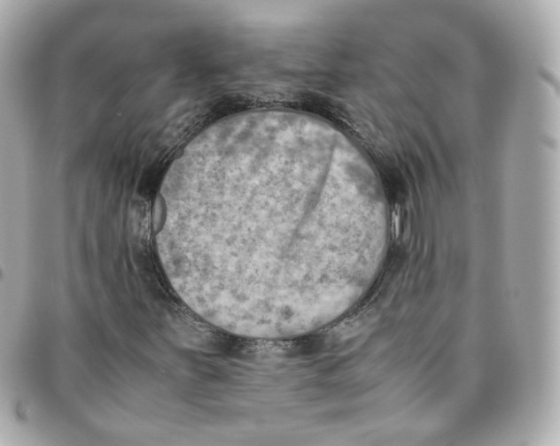 X0000095891251200802011059