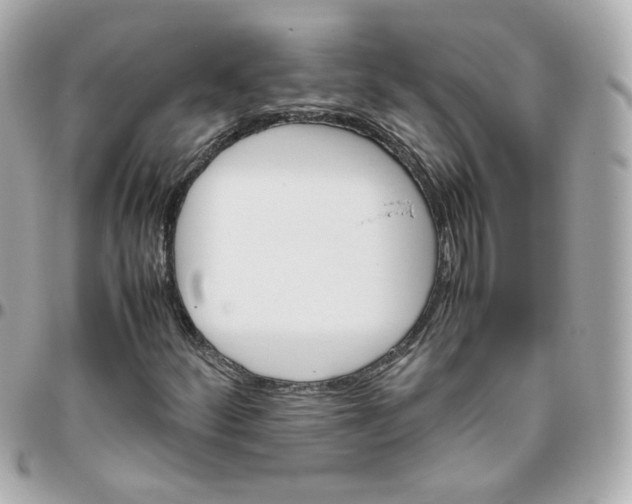 X0000095891252200802011059