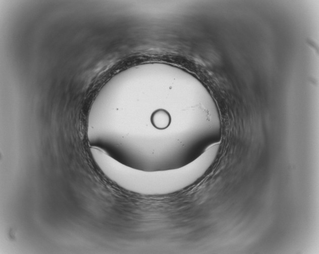 X0000095891253200802011059