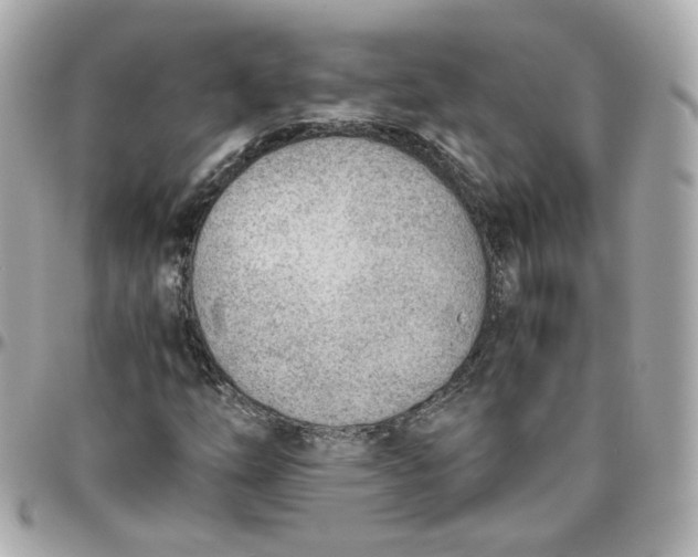 X0000095891254200802011059