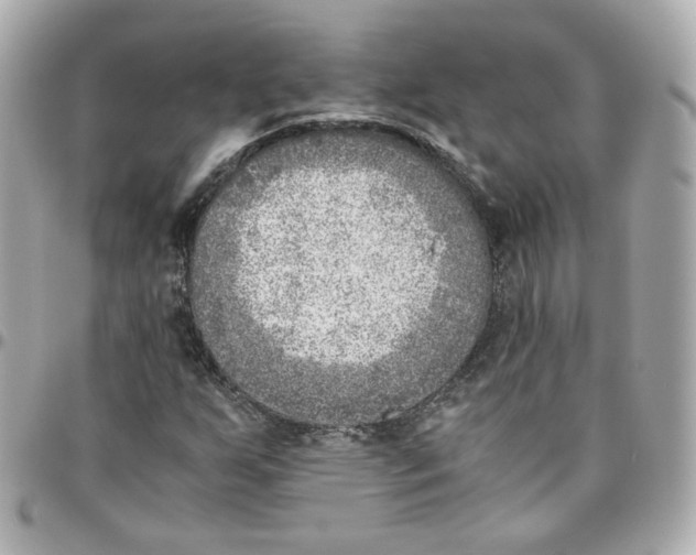 X0000095891255200802011059