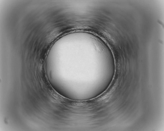 X0000095891257200802011059