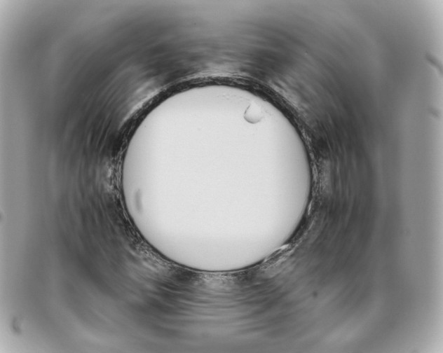 X0000095891258200802011059