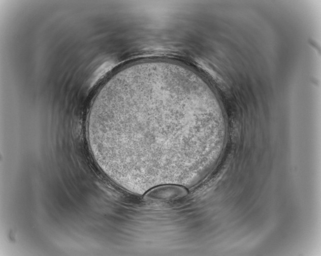 X0000095891259200802011059