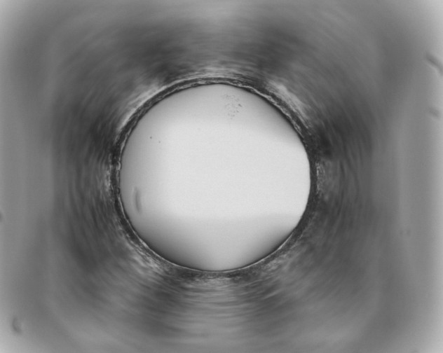 X0000095891260200802011059