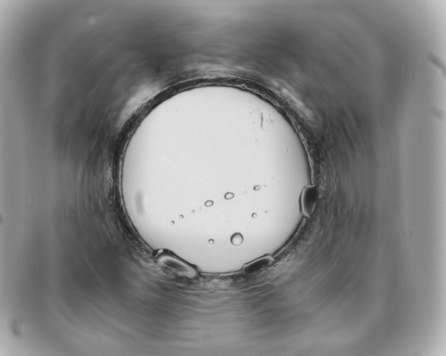 X0000095891261200802011059