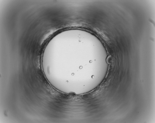 X0000095891262200802011059