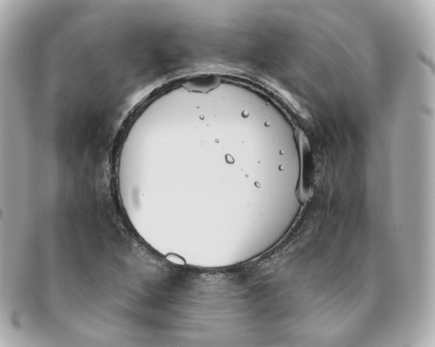 X0000095891264200802011059