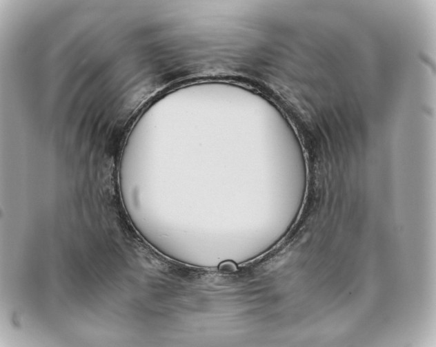 X0000095891265200802011059