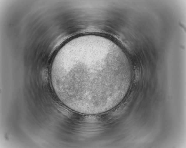 X0000095891266200802011059