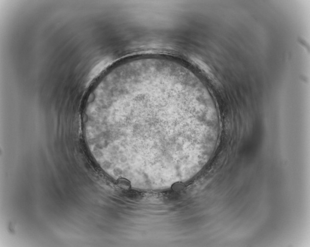 X0000095891267200802011059