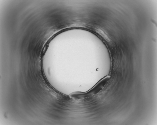 X0000095891268200802011059