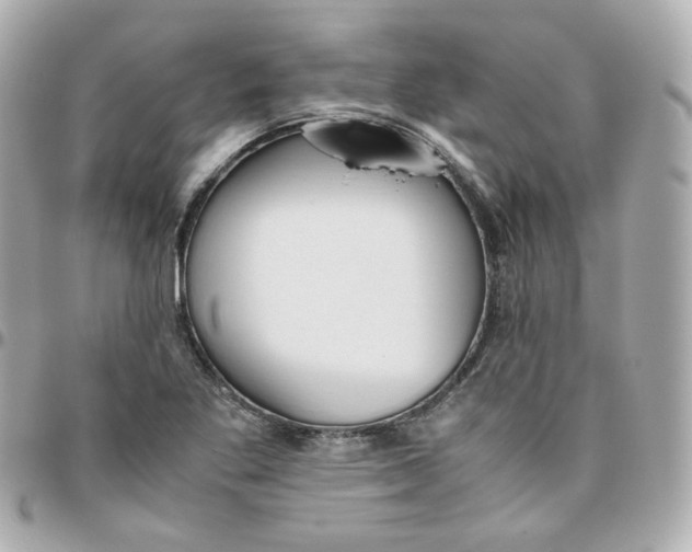 X0000095891269200802011059