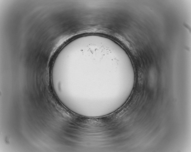 X0000095891270200802011059