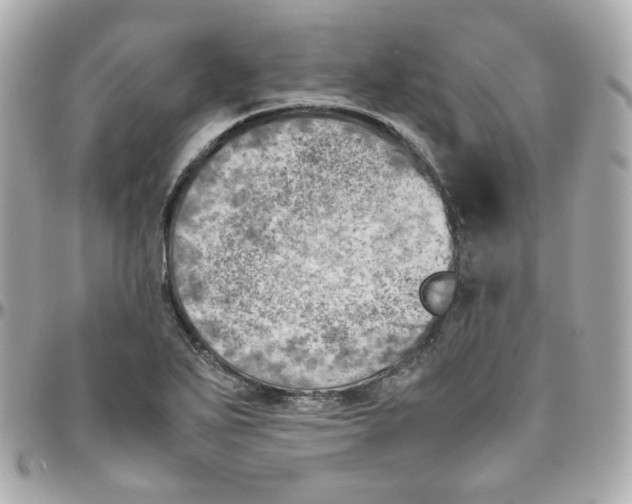 X0000095891271200802011059