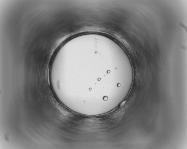 X0000095891272200802011059