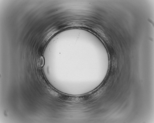 X0000095891273200802011059