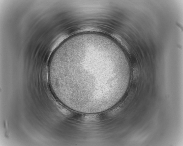 X0000095891274200802011059