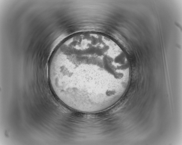 X0000095891275200802011059