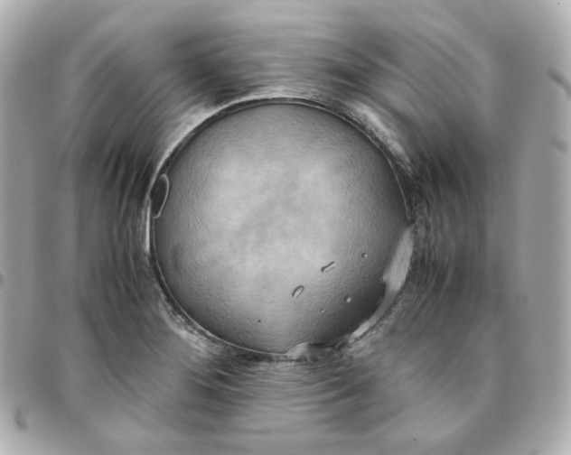 X0000095891276200802011059