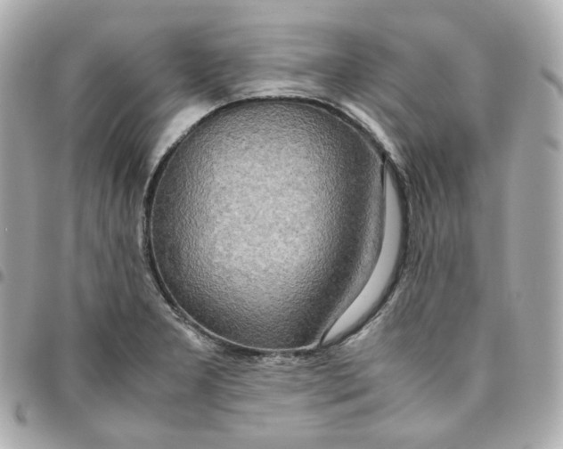 X0000095891277200802011059