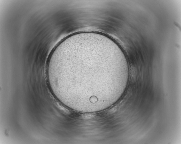 X0000095891278200802011059