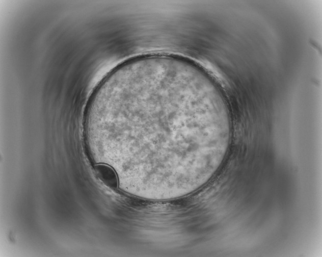 X0000095891279200802011059