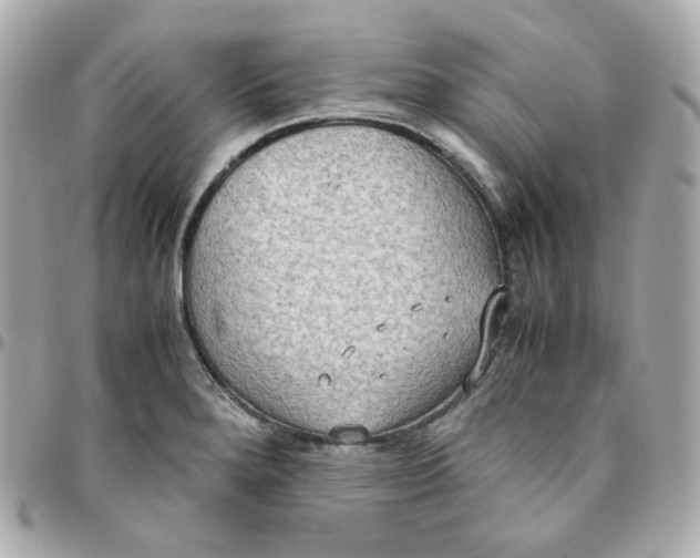 X0000095891280200802011059