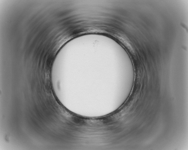 X0000095891281200802011059