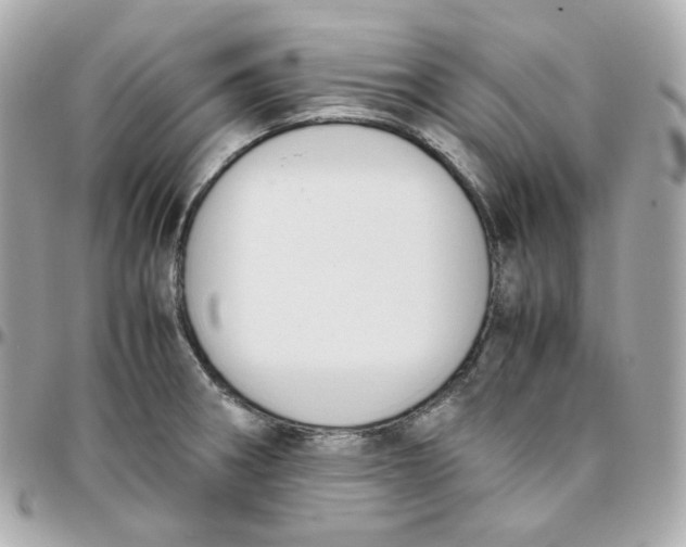 X0000095891282200802011059