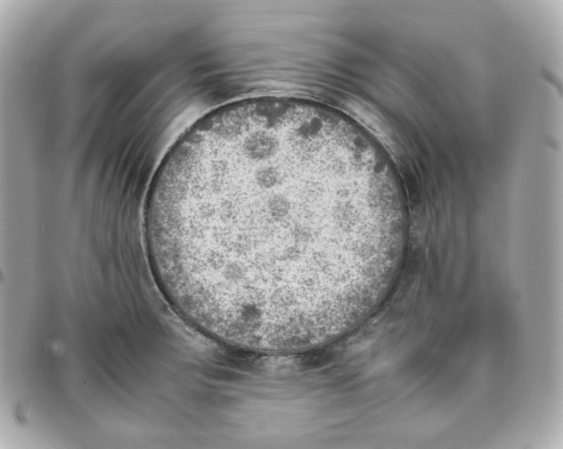 X0000095891283200802011059