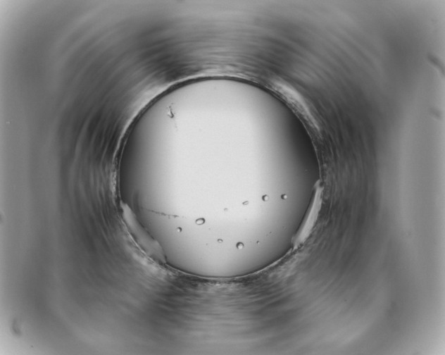 X0000095891284200802011059